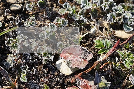 蓝光理财产品逾期如何处理 蓝光理财产品逾期如何处理