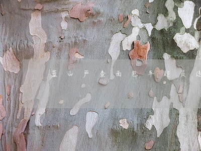 蓝山严查面包车超员违法行为 蓝山严查面包车超员违法行为