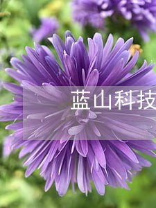 蓝山科技补充法律意见书 蓝山科技补充法律意见书