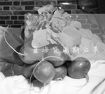 蓝海贷逾期后果 蓝海贷逾期后果