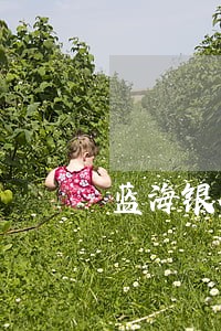 蓝海银行信用卡逾期三天 蓝海银行信用卡逾期三天