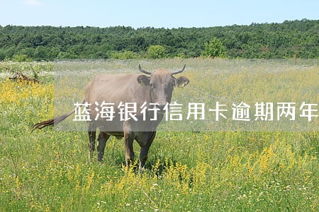 蓝海银行信用卡逾期两年