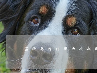 蓝海银行信用卡逾期几天 蓝海银行信用卡逾期几天