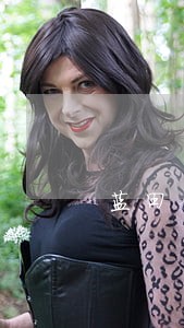蓝田债务纠纷律师电话