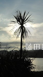 蓝田县债务纠纷律师事务所违约 蓝田县债务纠纷律师事务所违约