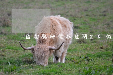 蓝盾股份债务逾期20亿 蓝盾股份债务逾期20亿