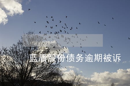 蓝盾股份债务逾期被诉 蓝盾股份债务逾期被诉