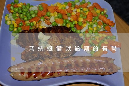 蓝蜻蜓借款逾期的有吗 蓝蜻蜓借款逾期的有吗