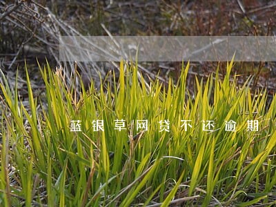 蓝银草网贷不还逾期 蓝银草网贷不还逾期