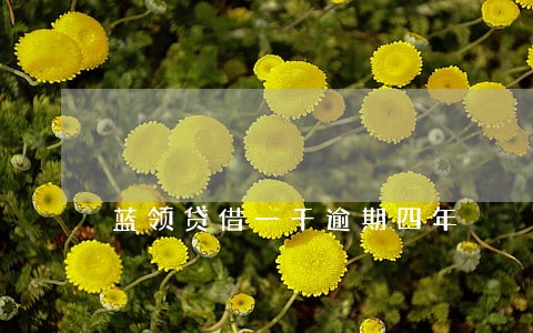 蓝领贷借一千逾期四年 蓝领贷借一千逾期四年