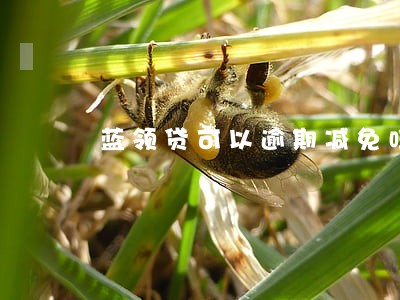 蓝领贷可以逾期减免吗 蓝领贷可以逾期减免吗