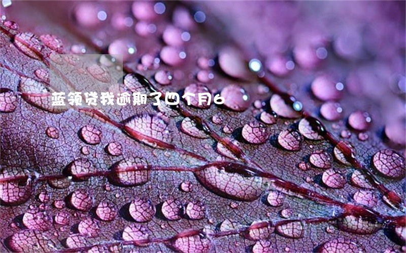 蓝领贷我逾期了四个月6 蓝领贷我逾期了四个月6
