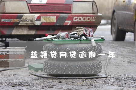 蓝领贷网贷逾期一年 蓝领贷网贷逾期一年