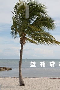 蓝领贷逾期一天会怎样 蓝领贷逾期一天会怎样