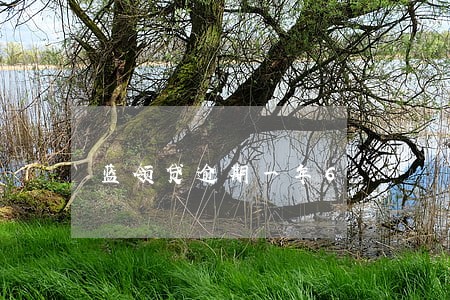 蓝领贷逾期一年6 蓝领贷逾期一年6