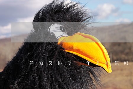 蓝领贷逾期一年上征信吗 蓝领贷逾期一年上征信吗