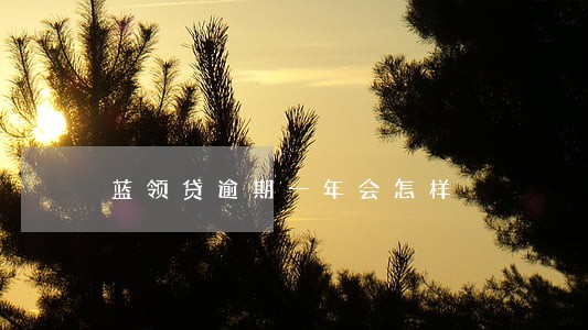 蓝领贷逾期一年会怎样