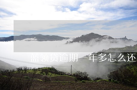 蓝领贷逾期一年多怎么还款 蓝领贷逾期一年多怎么还款