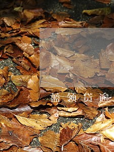 蓝领贷逾期一年多现在又让我还 蓝领贷逾期一年多现在又让我还