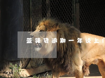 蓝领贷逾期一年说上门 蓝领贷逾期一年说上门