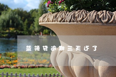 蓝领贷逾期三天还了 蓝领贷逾期三天还了