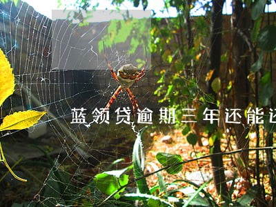 蓝领贷逾期三年还能还款吗