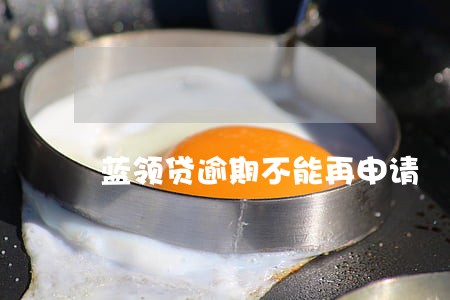 蓝领贷逾期不能再申请