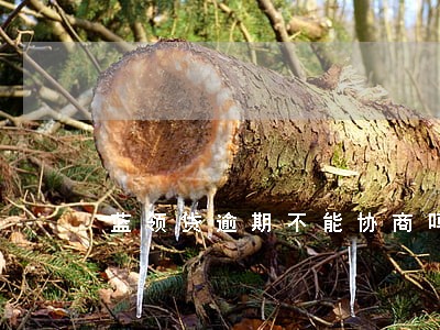 蓝领贷逾期不能协商吗