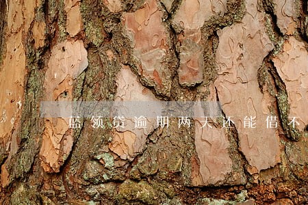 蓝领贷逾期两天还能借不 蓝领贷逾期两天还能借不