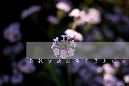 蓝领贷逾期两年多上征信吗
