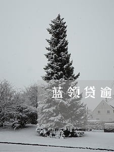 蓝领贷逾期两年是多少钱