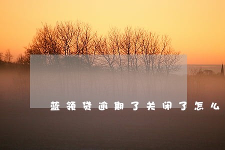 蓝领贷逾期了关闭了怎么还款