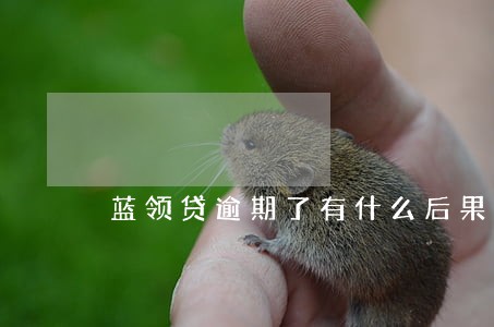 蓝领贷逾期了有什么后果