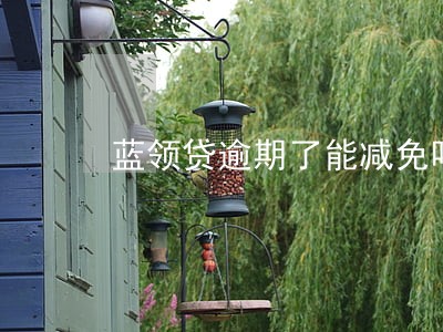蓝领贷逾期了能减免吗 蓝领贷逾期了能减免吗