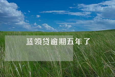 蓝领贷逾期五年了