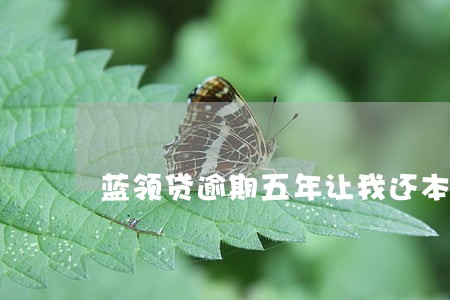 蓝领贷逾期五年让我还本金 蓝领贷逾期五年让我还本金