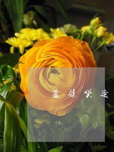 蓝领贷逾期几天爆通讯录 蓝领贷逾期几天爆通讯录
