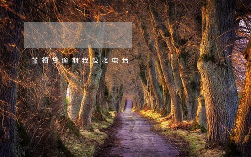 蓝领贷逾期我没接电话 蓝领贷逾期我没接电话
