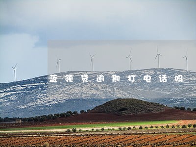 蓝领贷逾期打电话吗
