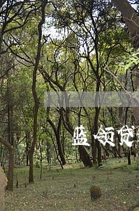 蓝领贷逾期找到我新的手机号码 蓝领贷逾期找到我新的手机号码