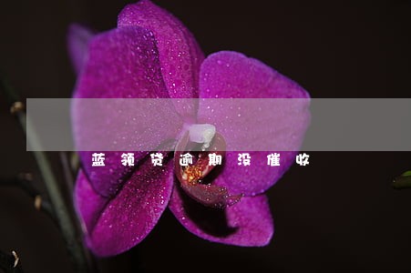 蓝领贷逾期没催收 蓝领贷逾期没催收