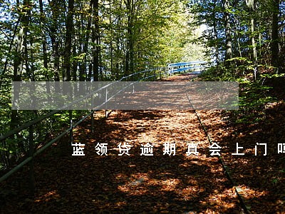 蓝领贷逾期真会上门吗 蓝领贷逾期真会上门吗