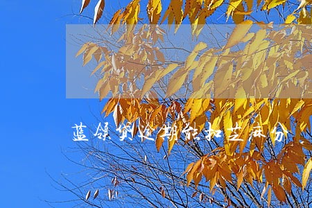 蓝领贷逾期能扣芝麻分 蓝领贷逾期能扣芝麻分