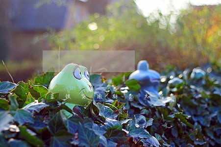 蓝领贷逾期费太高 蓝领贷逾期费太高