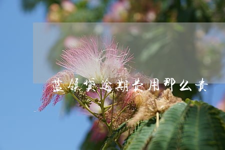 蓝领贷逾期费用那么贵 蓝领贷逾期费用那么贵