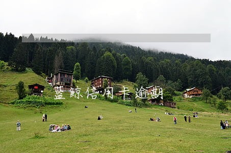 蓝鲸信用卡逾期 蓝鲸信用卡逾期