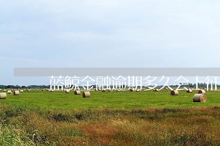 蓝鲸金融逾期多久会上征信