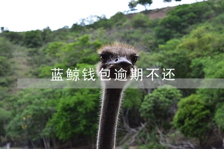 蓝鲸钱包逾期不还