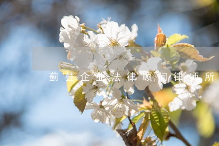 蓟县企业法律顾问律师所 蓟县企业法律顾问律师所