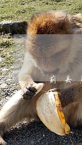 蓟县房地产纠纷律师推荐 蓟县房地产纠纷律师推荐